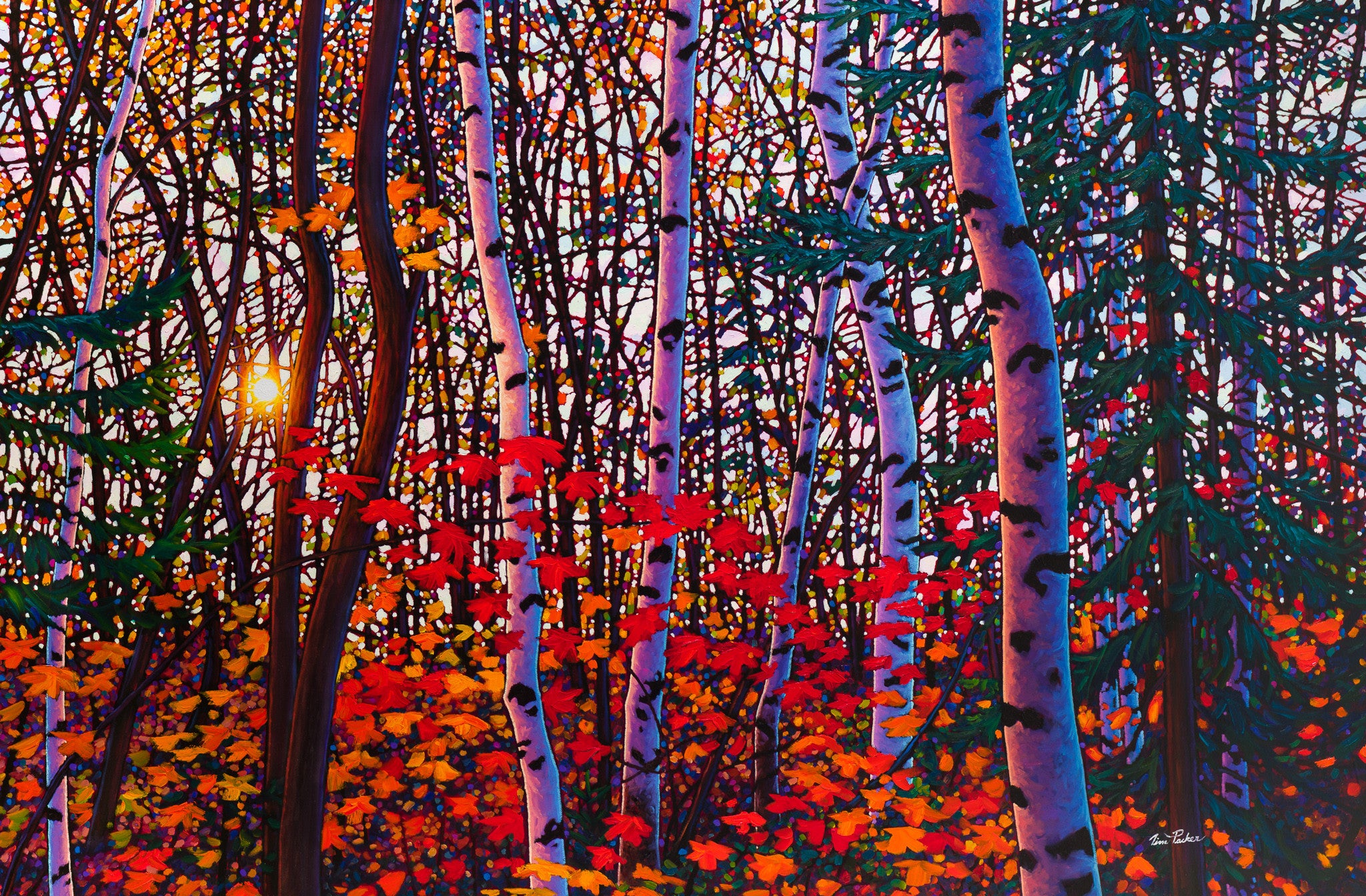 Tim Packer Extra Large Limited Edition Giclees