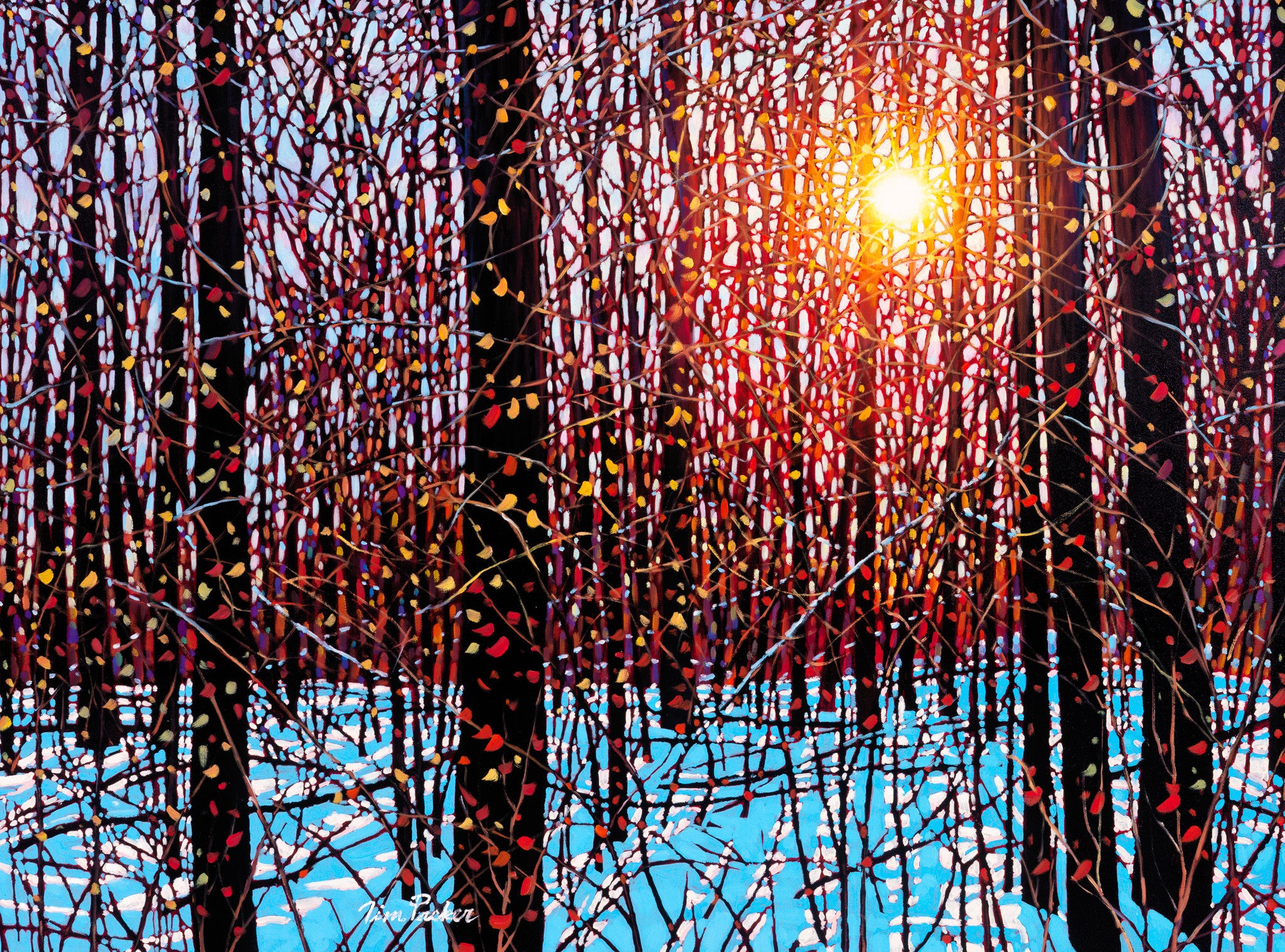 December Sunshine 30" by 40"