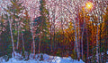 P'tit Beauchemin 36" by 60"