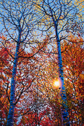 Still Standing 38" by 57" and 48" by 72" Diptych