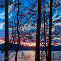 Twilight Sparkle 36" by 36"